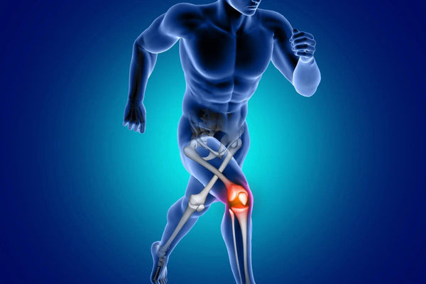 bone and joint health supplements mobility strength pain relief active lifestyle