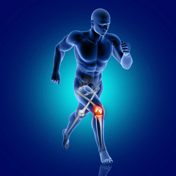 bone and joint health supplements mobility strength pain relief active lifestyle