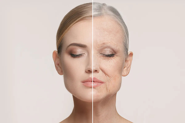 skin ageing signs wrinkles fine lines anti aging skincare healthy skin concept