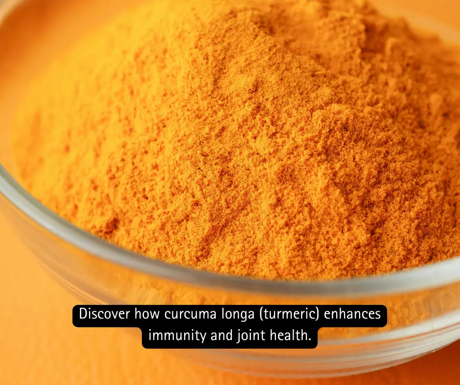 Curcumin-Benefits-How-Turmeric-Supports-Immunity-Joint-Health Absowell