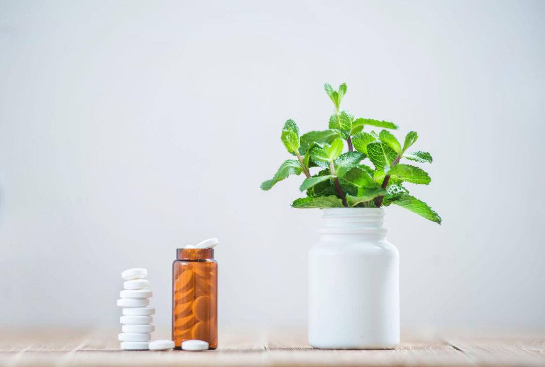 plant based vs synthetic supplements comparison natural vs artificial vitamins health