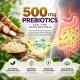 Probiotic - 50 Billion CFU with Prebiotics Absowell