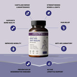 Absowell bone and joint health supplement bottle with benefits listed on a gray background