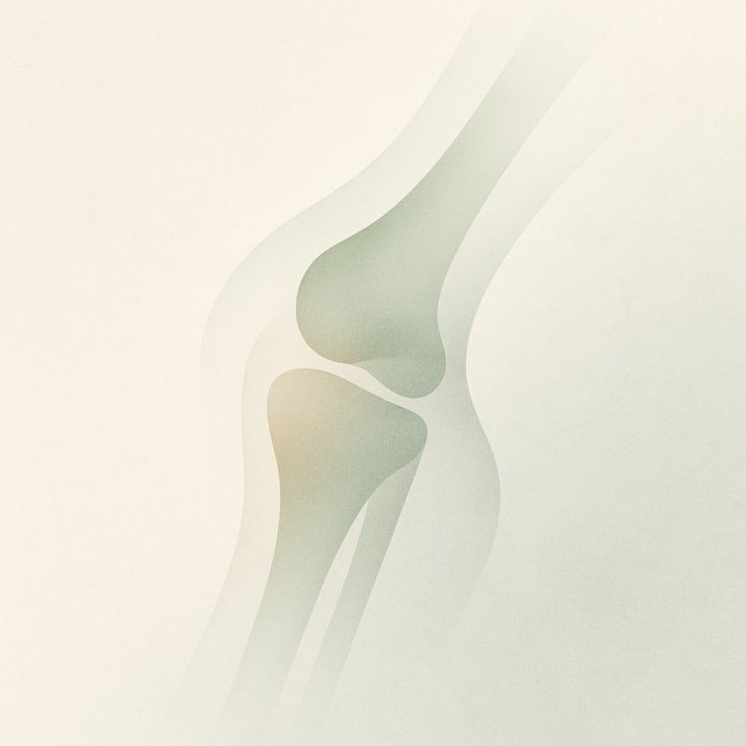 Absowell Joint Support Plant-Based Joint Comfort & Mobility Support with MSM, Glucosamine & Chondroitin NABL Lab Tested Absowell