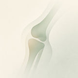 Absowell Joint Support Plant-Based Joint Comfort & Mobility Support with MSM, Glucosamine & Chondroitin NABL Lab Tested Absowell