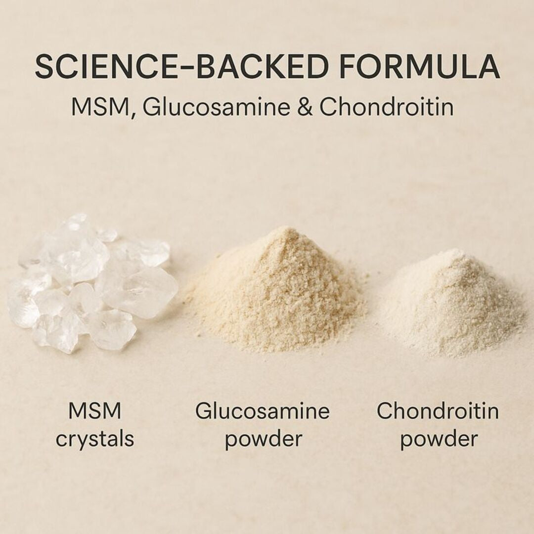 Absowell Joint Support Plant-Based Joint Comfort & Mobility Support with MSM, Glucosamine & Chondroitin NABL Lab Tested Absowell