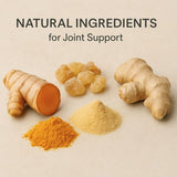 Absowell Joint Support Plant-Based Joint Comfort & Mobility Support with MSM, Glucosamine & Chondroitin NABL Lab Tested Absowell