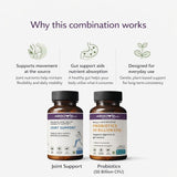 Movement & Recovery Pack : Joint Support + Probiotics Absowell