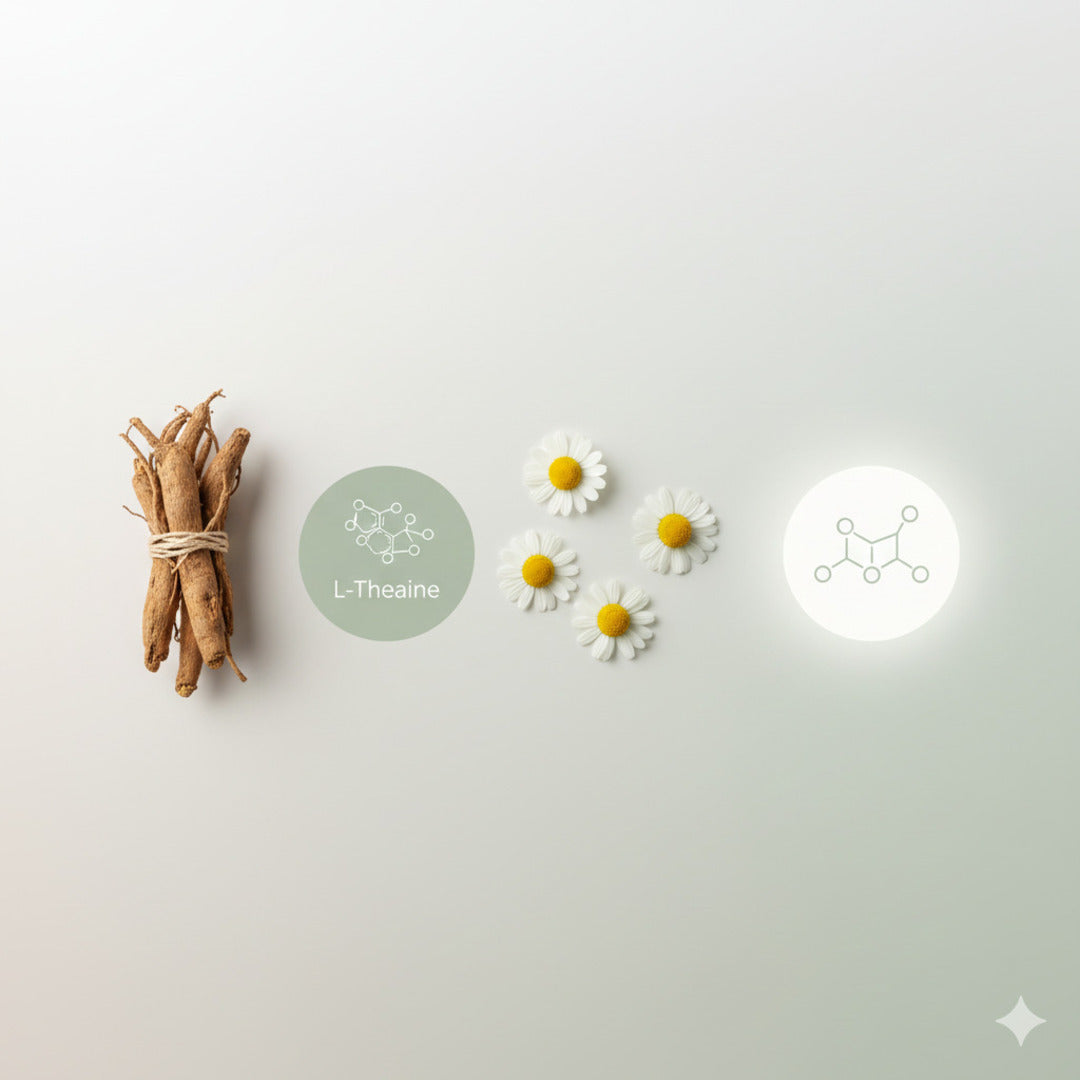 Absowell Stress & Sleep — Natural Sleep Support with Ashwagandha, L-Theanine & Melatonin Absowell