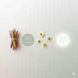 Absowell Stress & Sleep — Natural Sleep Support with Ashwagandha, L-Theanine & Melatonin Absowell