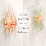 Absowell Movement + Recovery System| Joint Support + Gut Balance |2-Phase System Absowell