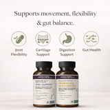 Absowell Movement + Recovery System| Joint Support + Gut Balance |2-Phase System Absowell