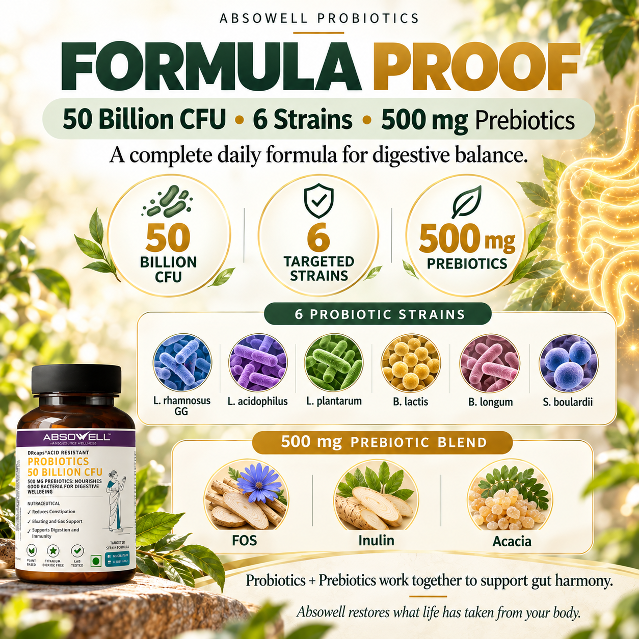 Probiotics + Prebiotics -50 Billion CFU | Absowell Gut Harmony Absowell