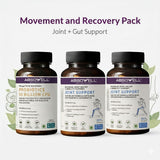 Movement & Recovery Pack | A 6-week program designed to support movement while managing inflammation from within.