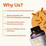 Absowell supplement bottle with text highlighting product features on a white background